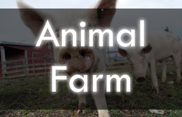 Animal Farm Unit